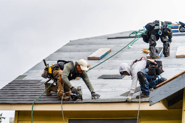 Professional Storm Damage Roof Repair technician working in Athena, OR